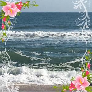 Meet your Posher, Kay